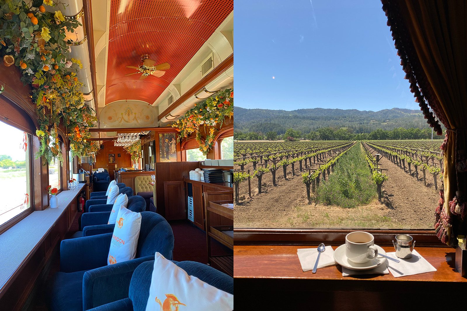 The Napa Valley Wine Train's dining car, with blue velvet armchairs and flowers along the ceiling, and a cup of coffee on the window ledge overlooking rows of vines and green hills.